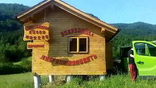 Словенская пасека! Пересаживаем молодые семьи.