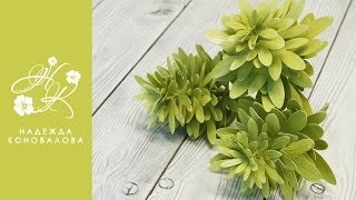 Чойсия или Шуазия тройчатая - зелень для букета из фоамирана