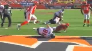 Pinc Gator- Respect The Bull Houston Texans Fight Song Prod by Beanz N Kornbread on ITUNES