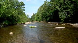 Fuji HS10 - HD Video Sample by Moose
