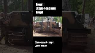 Как рычит Тигр