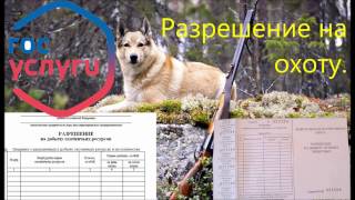 Разрешение на охоту  Получение путевки через Гос услуги