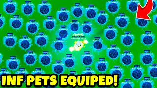 HOW TO EQUIP INFINITE PETS!? (Myth-Busters) | Ninja Legends