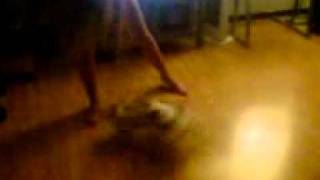 Spinning dog getting dizzy