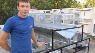 промышленные  клетки для кроликов от Марата