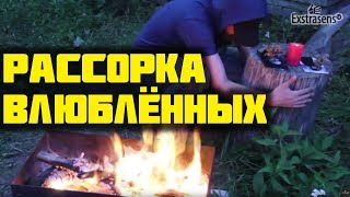 Рассорка на сухом бревне и двух розах