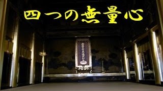まじめな法話 『四つの無量心』 辰田真弥さん