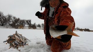 СКАЖЕМ ГЛУХОЗИМЬЮ НЕТ! ЛОВЛЯ ПЛОТВЫ.  РЫБАЛКА В ФЕВРАЛЕ.
