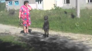 Контакт с пришельцами НЛО в деревне Уникальные редкие кадры Прикол с детьми