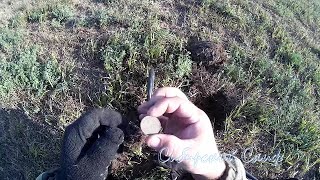 Поиск Царских Монет у Озера На День Кладоискателя Minelab Explorer SE Pro