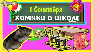 ФАННИ в ШКОЛЕ / 1 сентября В ШКОЛЕ / hamster school / Сказка про back to school / АЛИСА ИЗИ
