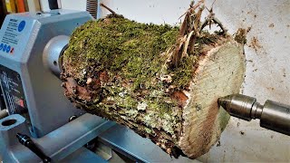 Woodturning - The Weeping Willow
