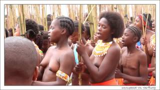 2012 Umhlanga Reed Dance Ceremony, Swaziland (7)