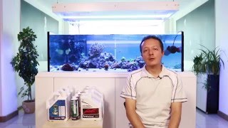 Akvaryumun Büyüklüğüne Karar Verirken Nelere Dikkat Etmeliyim?