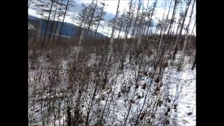 Покатушки на МТЛБ  Поле 2008