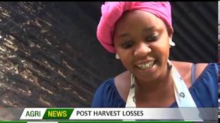Slaughter house project, Sisal farming, urban farming and more - Agri News
