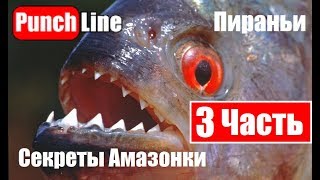Рыбалка на Амазонке.  Пираньи.  Секреты Амазонки: Часть 3.