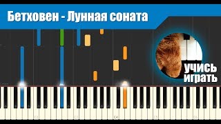 Бетховен - Лунная соната (урок)