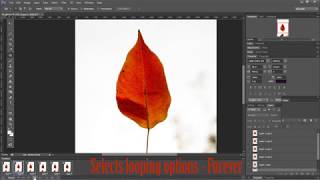 How to create an Animated GIF in Photoshop | Puppet Warp Tool