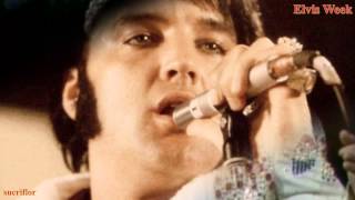 ELVIS PRESLEY - LOVE SONG OF THE YEAR