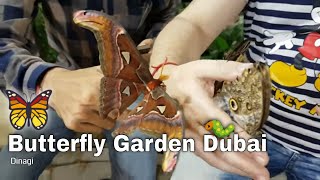 Butterfly Garden Dubai ?? First Butterfly Museum in the World ?