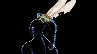 Анатомия сущностей и эгрегоров. Разбираем болезни. Как не болеть. (Миры человека 1)