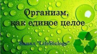 Организм, как единое целое