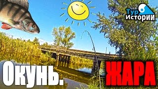 Микроджиг в летнюю жару...Тур Истории