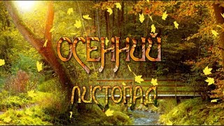 Осенний листопад Футажи