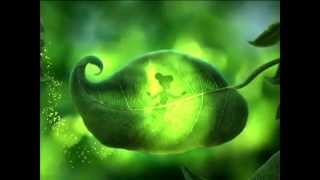 Детский проект для ProShow Produser ...Мне уже годик