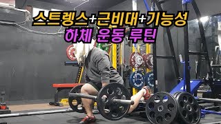 스트렝스와 근비대를 동시에!! 2분할 하체 운동 루틴!!
