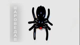 Паук из шаров на Хэллоуин / Spider ​​of balloons on Halloween