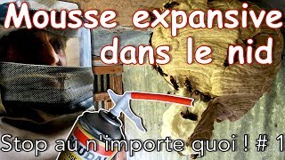 Mousse expansive + nid de frelons asiatique - Stop au n'importe quoi ! # 1