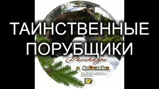 Детский рассказ о животных "ТАИНСТВЕННЫЕ ПОРУБЩИКИ" МСЦ ЕХБ (Благотворительный фонд "Дом Тепла")