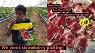 We went Strawberry Picking || Keto/LCHF/Sugar-Free Cheesecake Recipe|| Malayalam Vlog || New Zealand