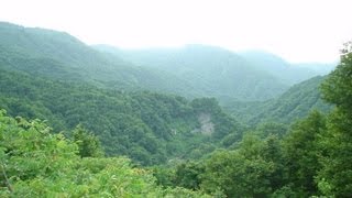 【林道ドライブ】白神山地・赤石川林道(白神ライン支線)　Akaishigawa
