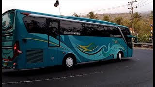 [Bismania] Bus AKAP Bus Pariwisata Raffa Holiday Sinar Jaya Anggi Transport Pelita Baru Dewi Sri