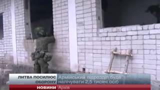 В Литві до 1 листопада сформують сили швидкого реагування