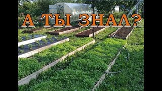 ОСЕНЬ на даче: ПЕРЕЧЕНЬ важных дел