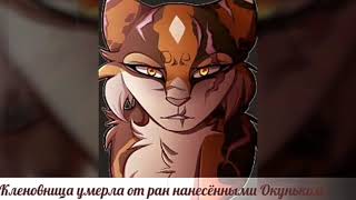 Коты Воители смерти злодеев