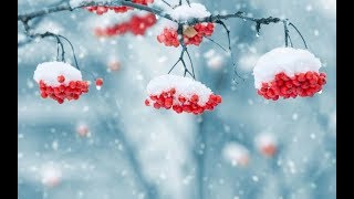 Народные приметы на 22 декабря — день Анны Зимней