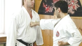 Ваник Арутюнян о составляющих удара дзуки в каратэ