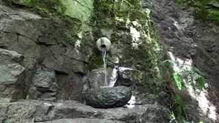 Ganoyi dzor | Գանոյի Ձոր  - Армения Капан