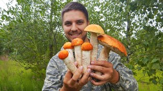 ЛУЧШЕ НЕ СМОТРЕТЬ! Мощные поляны красных грибов.