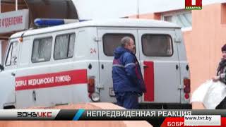Задержан хозяин собаки, которая покусала контролера Белэнерго. Зона Х
