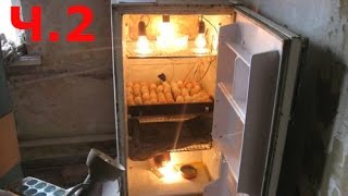 Простой домашний инкубатор своими руками для яиц. Ч.2