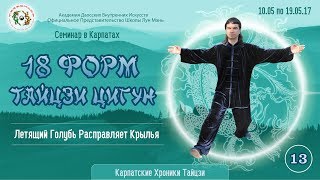 2.13. Карпатские хроники Тайцзи. Весна 2017. Тайцзи Цигун 18 Форм.13-я форма: Летящий Голубь