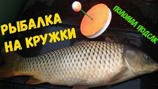 ЛОВЛЯ КАРПА НА КРУЖКИ, карп поломал подсак. Клюнул огромный карп.