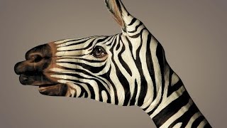 Развивающий фильм для Ребенка про животных 15часть