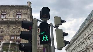 Vienna's Gay-Friendly Crosswalk Lights